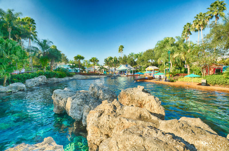 Dolphin Cove.