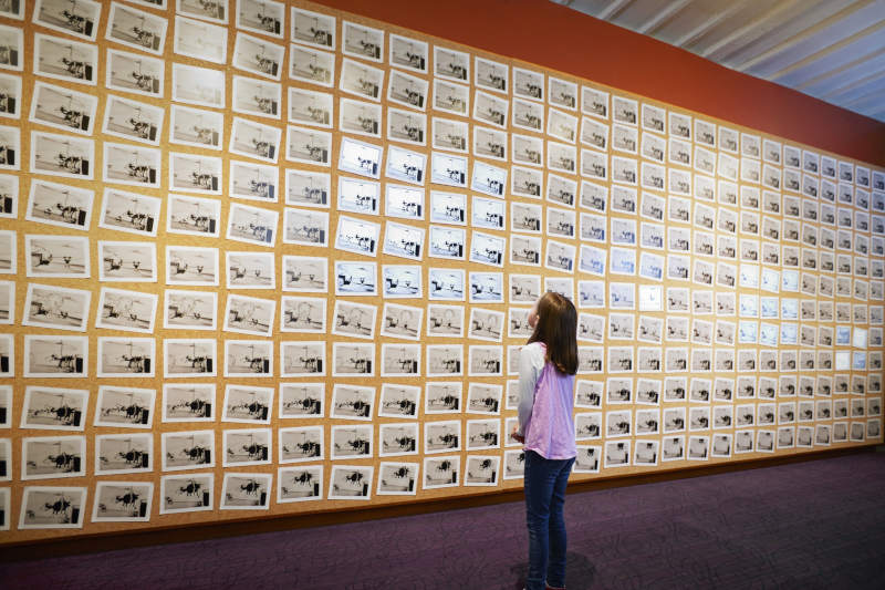 The Walt Disney Family Museum- cell cartoon wall