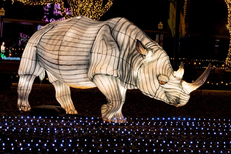 Rhino at Zoo Lights.