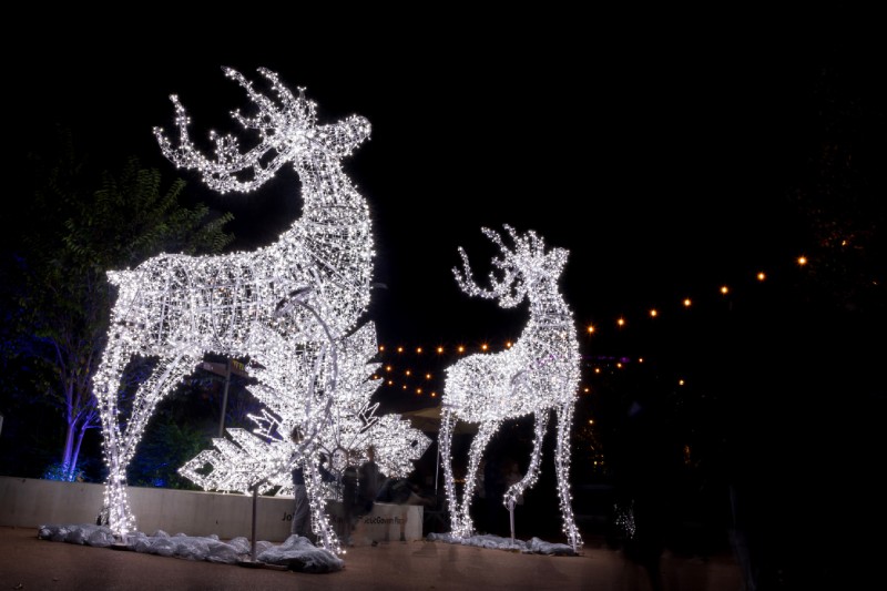 Zoo Lights - Deer.
