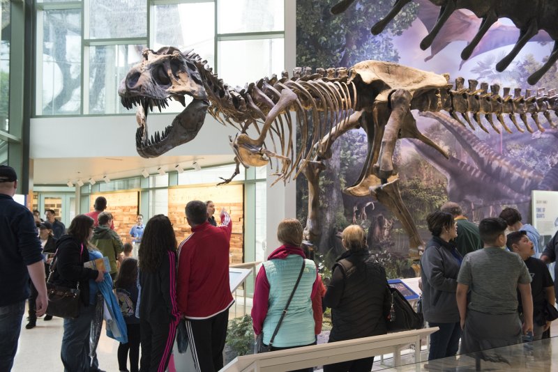 Naylor Family Dinosaur Gallery