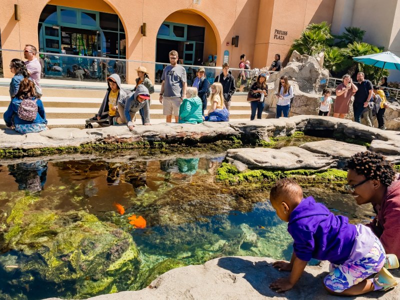 Birch Aquarium