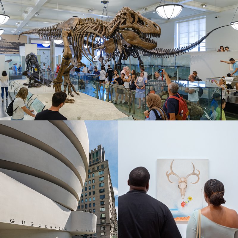 Collage of American Museum of Natural History, Guggenheim Museum, and The Whitney Museum.