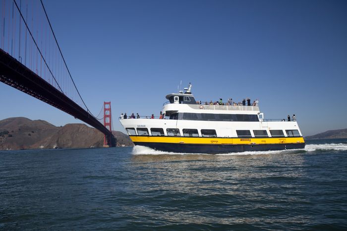 My CityPASS® App - Blue & Gold Fleet's San Francisco Bay
