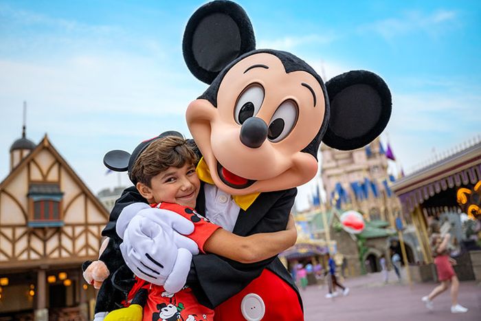 フロリダウォルトディズニーワールド ピンズ額